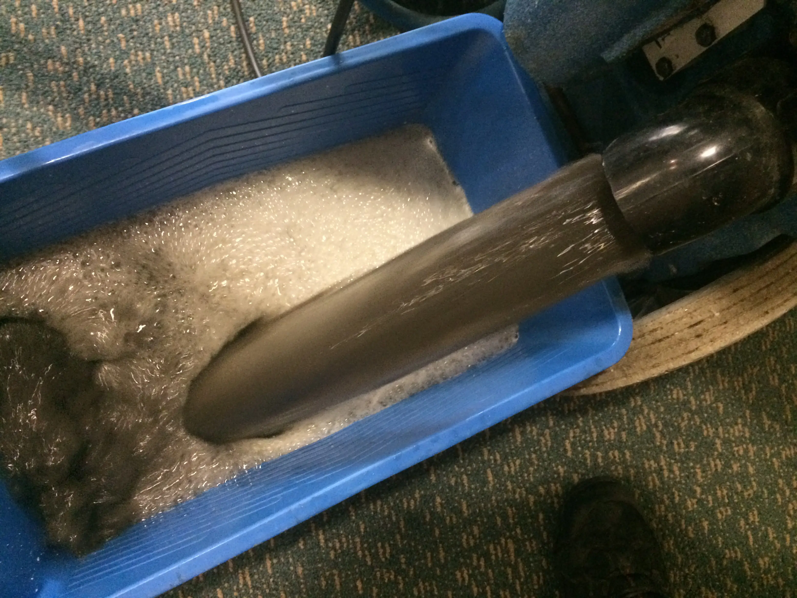 Commercial Carpet Cleaning by DMC Facilities Management