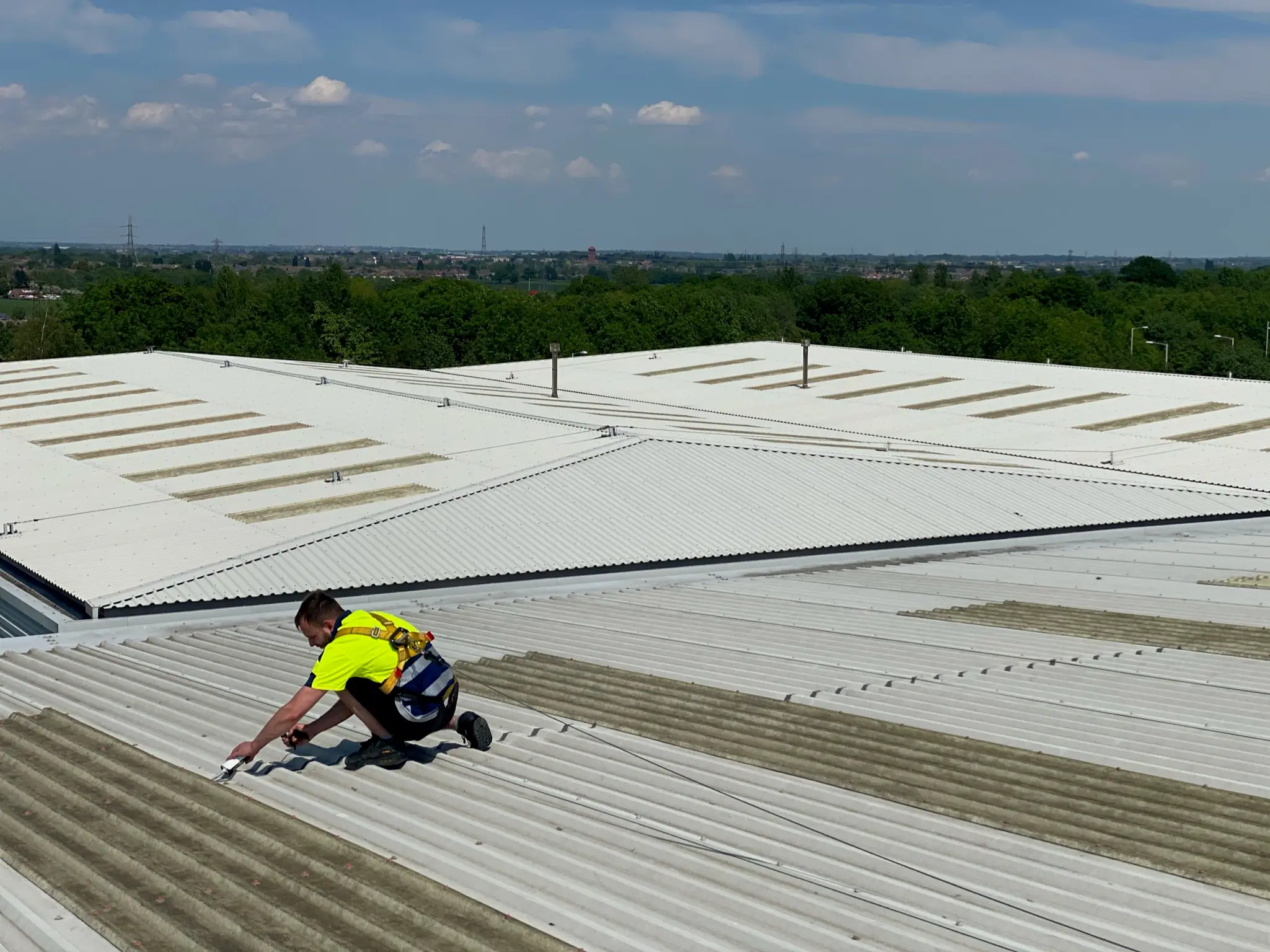 Commercial Cut Edge Restoration by DMC Facilities Management