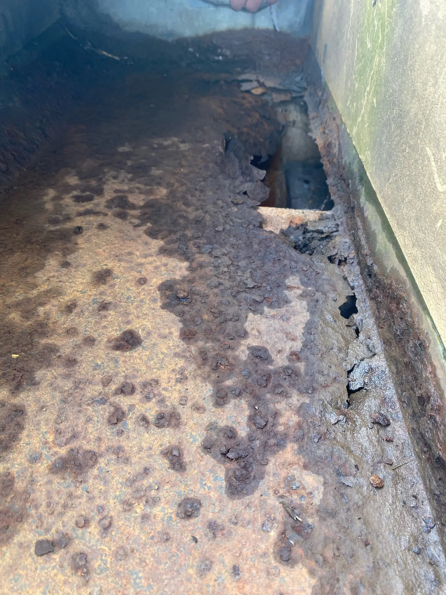Commercial Cut Edge Restoration by DMC Facilities Management