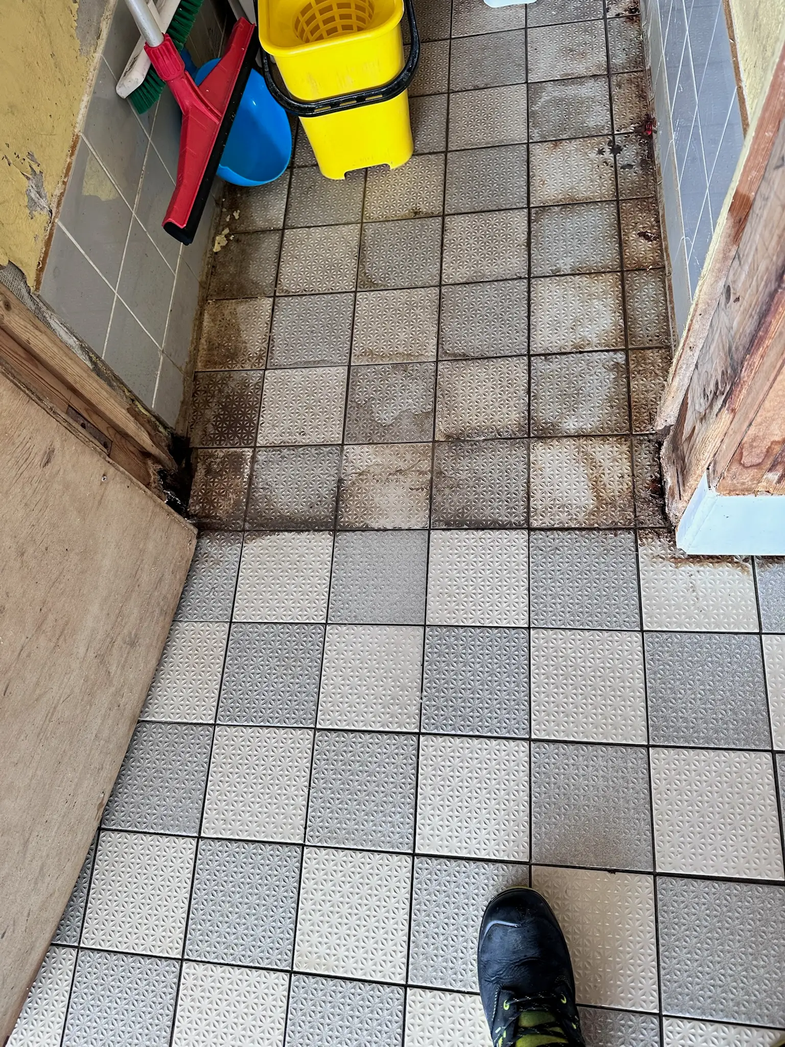 Commercial Hard Floor Cleaning by DMC Facilities Management