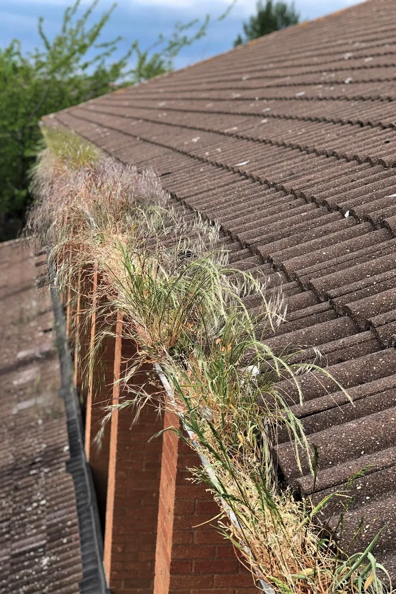 Gutter Cleaning by DMC Facilities Management